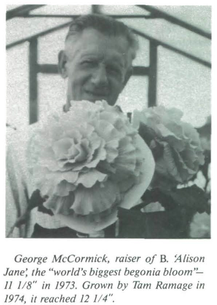 B. ‘Alison Jane’
